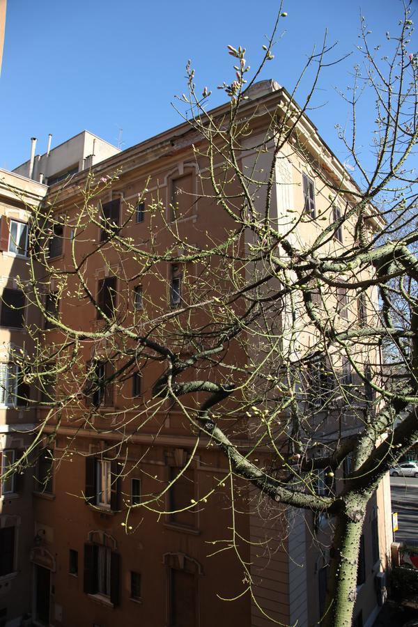 Bed and Breakfast T&V House Rzym Zewnętrze zdjęcie